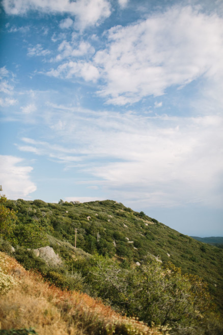 A Mountain Stroll Through the Woods – Photo by Let's Frolic Together