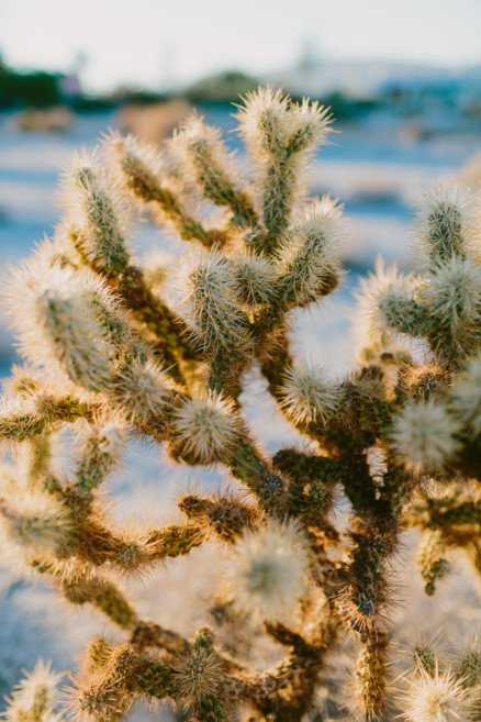 A Windy, Romantic Desert Engagement – Photo by Let's Frolic Together