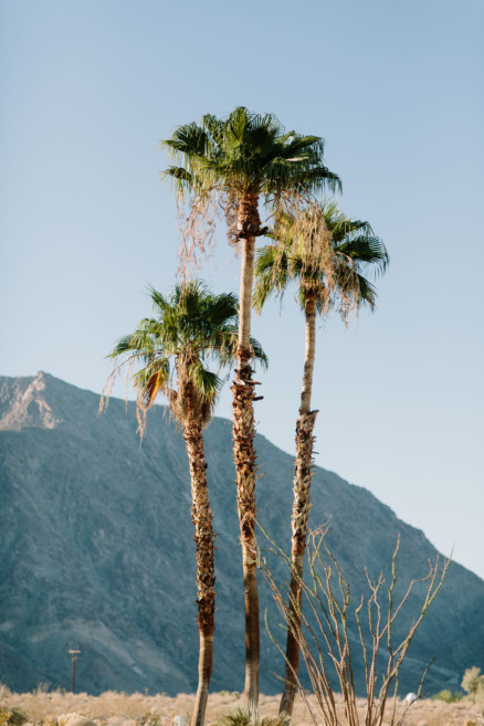 A Wild Desert Dinosaur Adventure – Photo by Let's Frolic Together