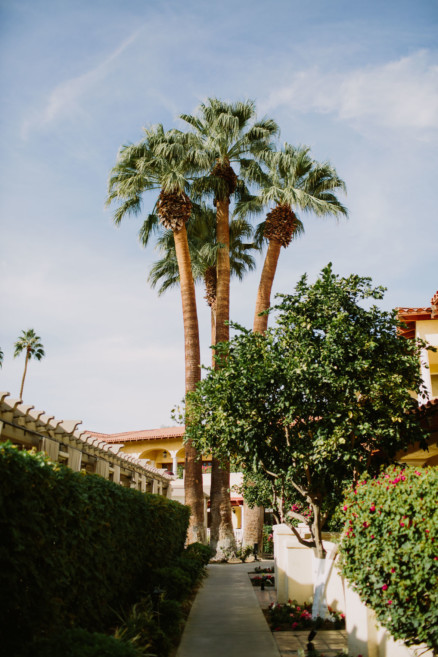 Old World Palm Springs Love – Photo by Let's Frolic Together