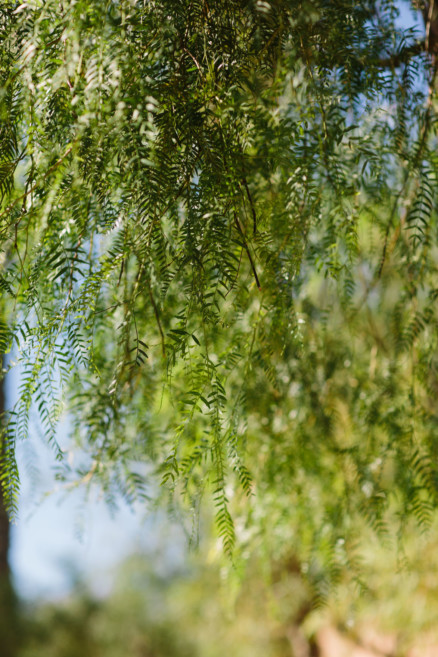 Autumnal Romantic Wedding Dreams – Photo by Let's Frolic Together