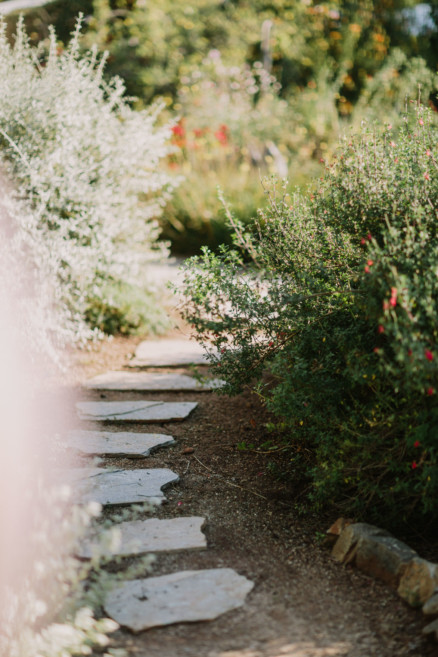 Darling Backyard Wedding with Dogs! – Photo by Let's Frolic Together
