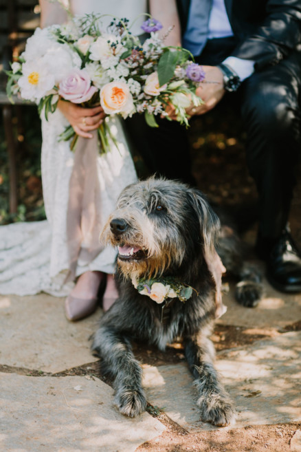 Darling Backyard Wedding with Dogs! – Photo by Let's Frolic Together