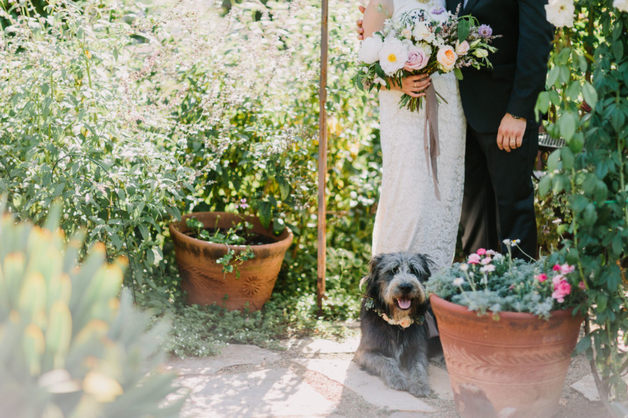 Darling Backyard Wedding with Dogs! – Photo by Let's Frolic Together