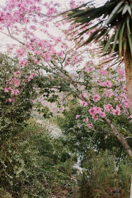 A Sweet Jaunt Around Balboa Park – Photo by Let's Frolic Together