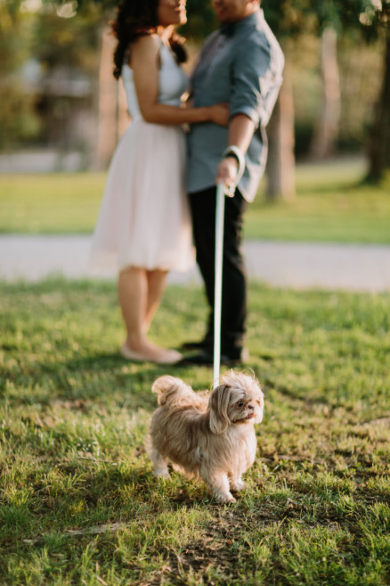 Drinks, Dogs, and Much Delight! – Photo by Let's Frolic Together