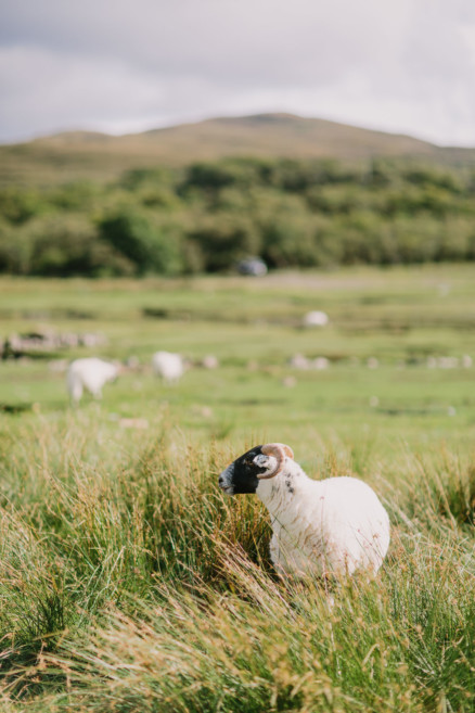 Scottish Highlands Adventure – Photo by Let's Frolic Together