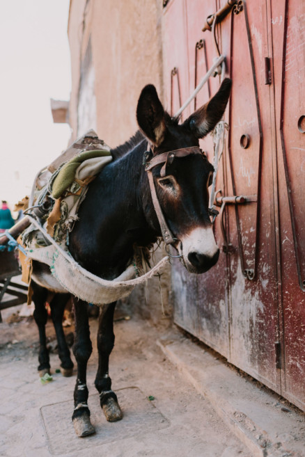 Colors & Textures of Marrakech – Photo by Let's Frolic Together
