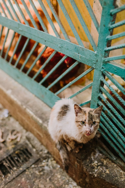 Colors & Textures of Marrakech – Photo by Let's Frolic Together
