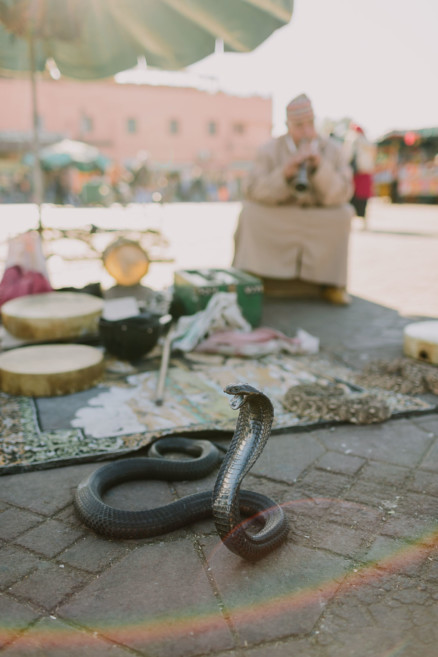 Colors & Textures of Marrakech – Photo by Let's Frolic Together