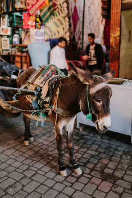 Colors & Textures of Marrakech – Photo by Let's Frolic Together