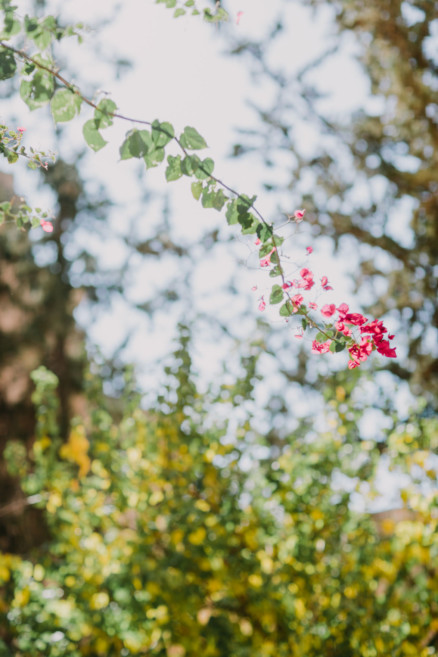 Colors & Textures of Marrakech – Photo by Let's Frolic Together