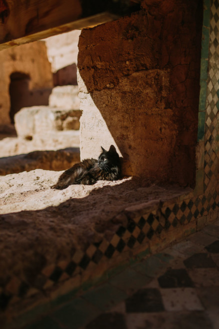 Colors & Textures of Marrakech – Photo by Let's Frolic Together