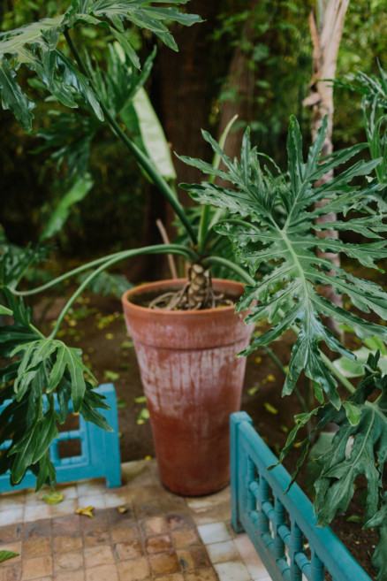 Colors & Textures of Marrakech – Photo by Let's Frolic Together