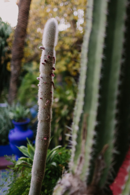 Colors & Textures of Marrakech – Photo by Let's Frolic Together