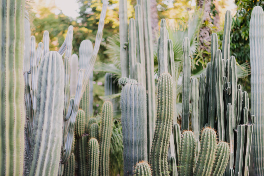 Colors & Textures of Marrakech – Photo by Let's Frolic Together