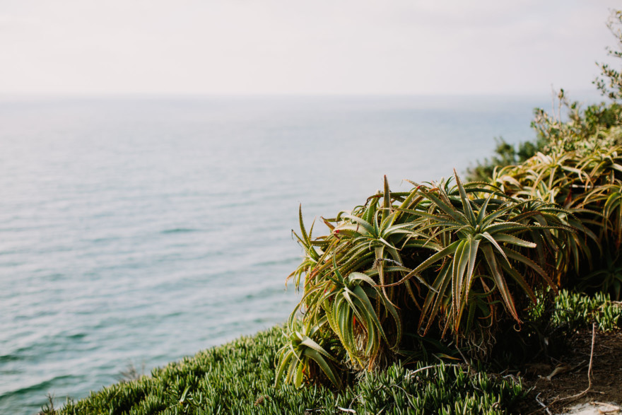 Laid-Back & Lovely Seaside Wedding – Photo by Let's Frolic Together