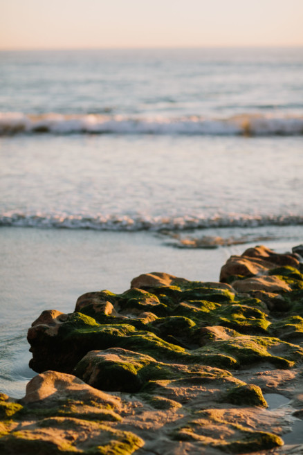 Tacos and Love by the Beach – Photo by Let's Frolic Together