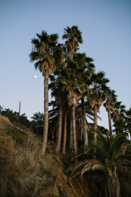 Tacos and Love by the Beach – Photo by Let's Frolic Together