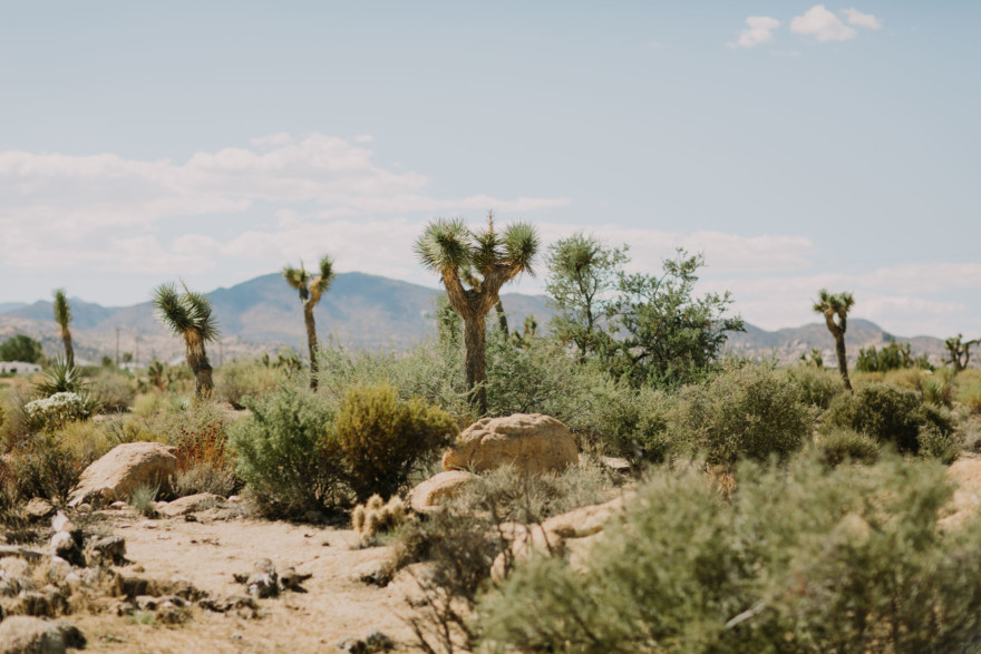 Dazzling, Inspired Desert Wedding – Photo by Let's Frolic Together