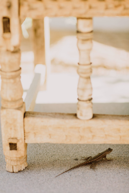 Dazzling, Inspired Desert Wedding – Photo by Let's Frolic Together