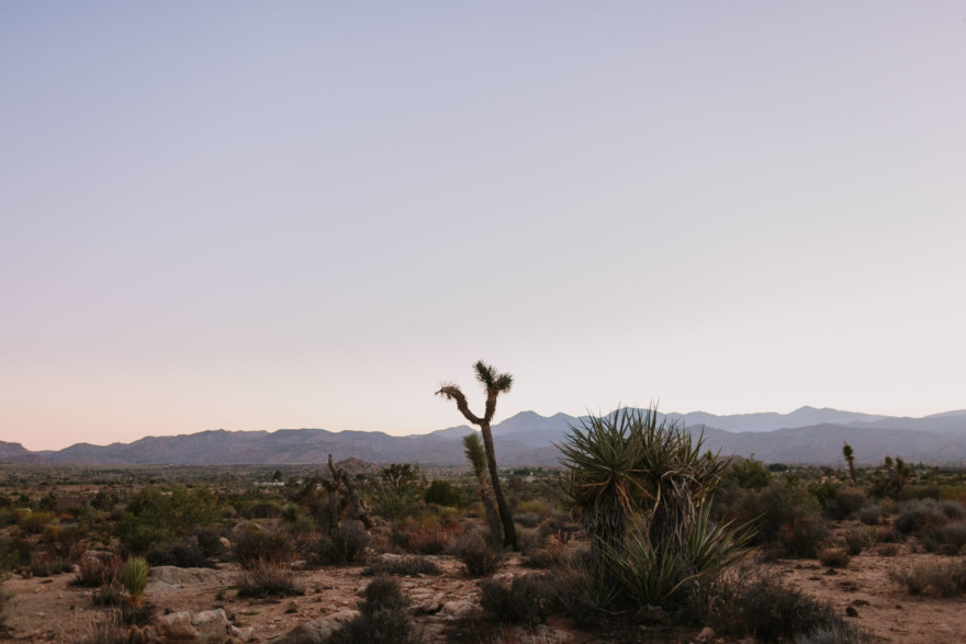 Dazzling, Inspired Desert Wedding – Photo by Let's Frolic Together