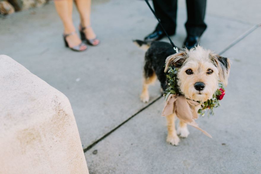 Inn at Rancho Santa Fe Fun-Fest – Photo by Let's Frolic Together