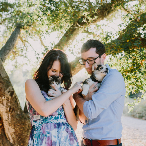 It’s Raining Cats and Dogs! &ndash; Photo by Let's Frolic Together