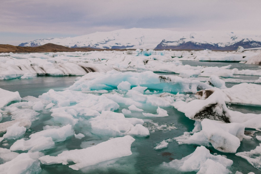 Iceland Tour: Ice, Sheep, & Airplanes – Photo by Let's Frolic Together