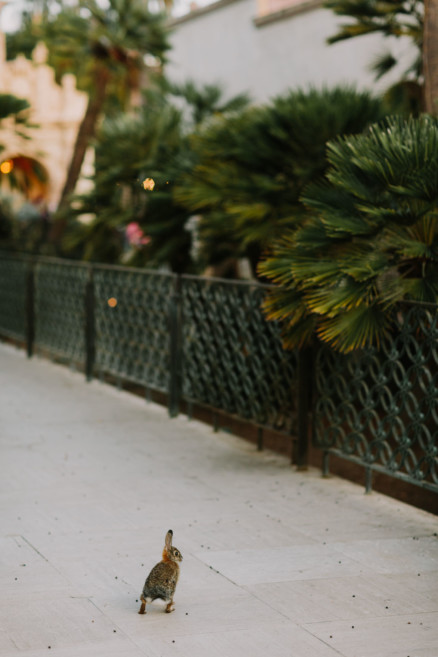 Vintage Balboa Park Intimate Wedding – Photo by Let's Frolic Together