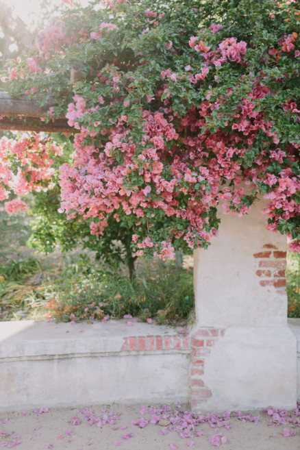 Descanso Gardens Wedding Magic – Photo by Let's Frolic Together