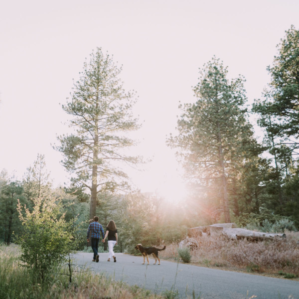 Mountain Fun With A Playful Pup &ndash; Photo by Let's Frolic Together