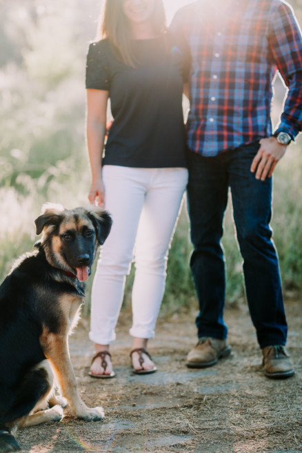 Mountain Fun With A Playful Pup – Photo by Let's Frolic Together