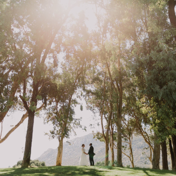 Playful Stonehouse Rustic Wedding &ndash; Photo by Let's Frolic Together