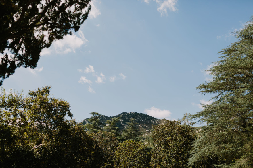 Playful Stonehouse Rustic Wedding – Photo by Let's Frolic Together