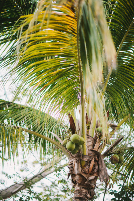 Mischievous Engagement in Mexico – Photo by Let's Frolic Together