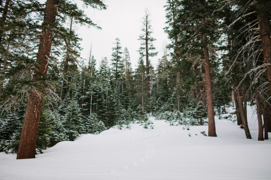 A Mammoth Mountain Winter Adventure – Photo by Let's Frolic Together