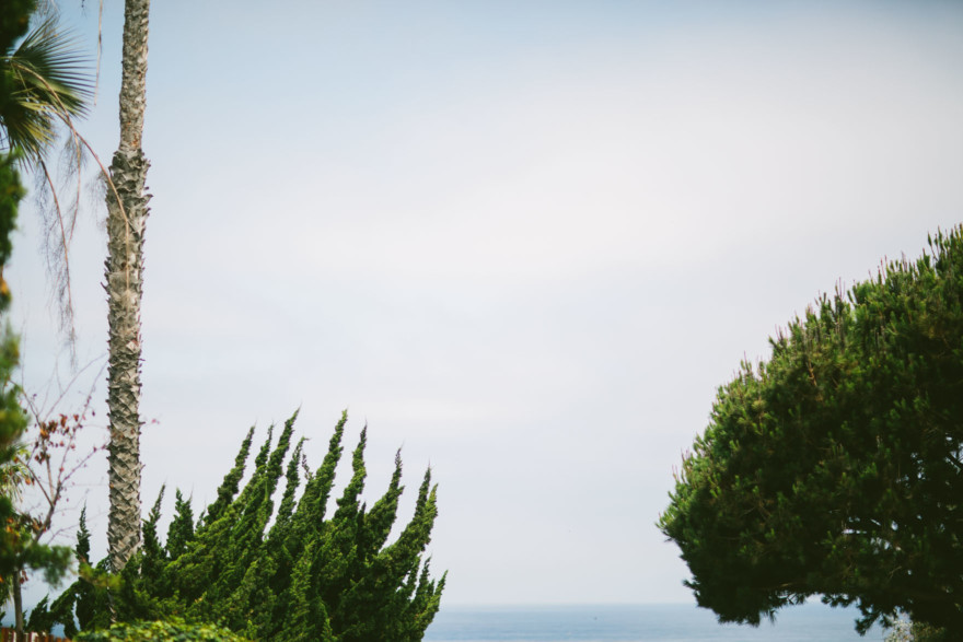Literature and Love in La Jolla – Photo by Let's Frolic Together