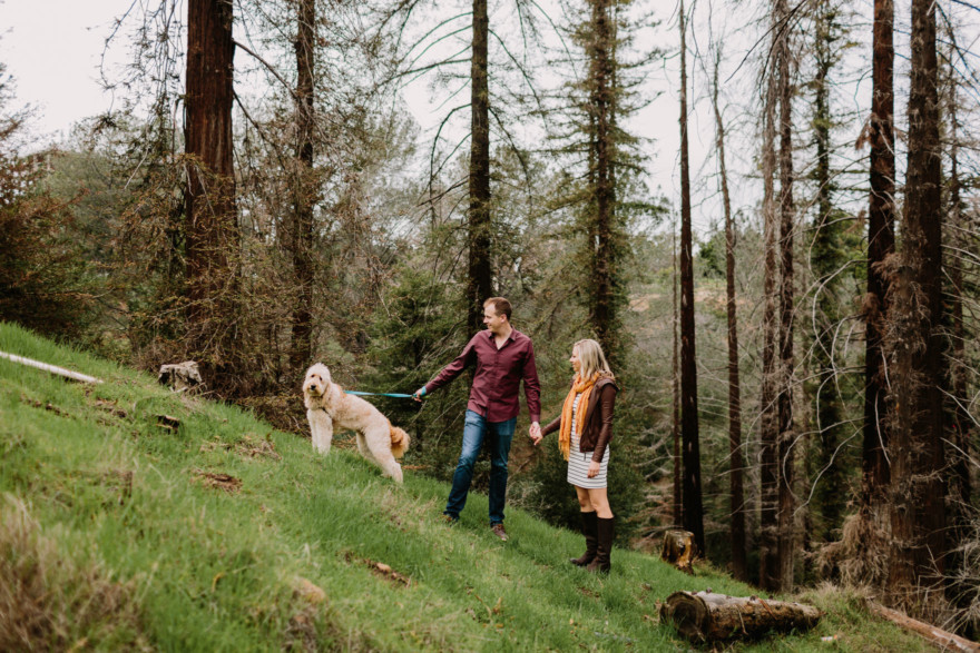 A Fur-Filled Engagement Stroll – Photo by Let's Frolic Together