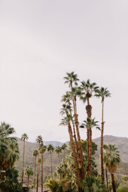 Desert Wilderness Love Adventure – Photo by Let's Frolic Together