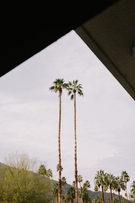 Desert Wilderness Love Adventure – Photo by Let's Frolic Together