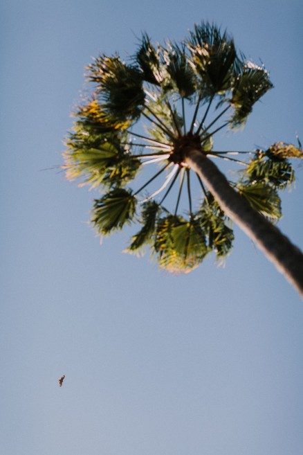 Darling Torrey Pines Engagement – Photo by Let's Frolic Together
