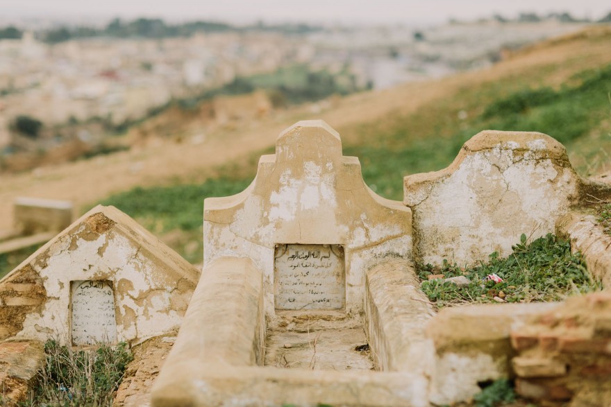 An Adventure from Fez to Volubilis – Photo by Let's Frolic Together