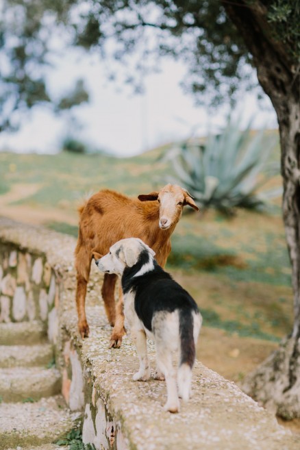 An Adventure from Fez to Volubilis – Photo by Let's Frolic Together