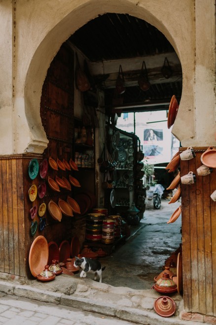 An Adventure from Fez to Volubilis – Photo by Let's Frolic Together