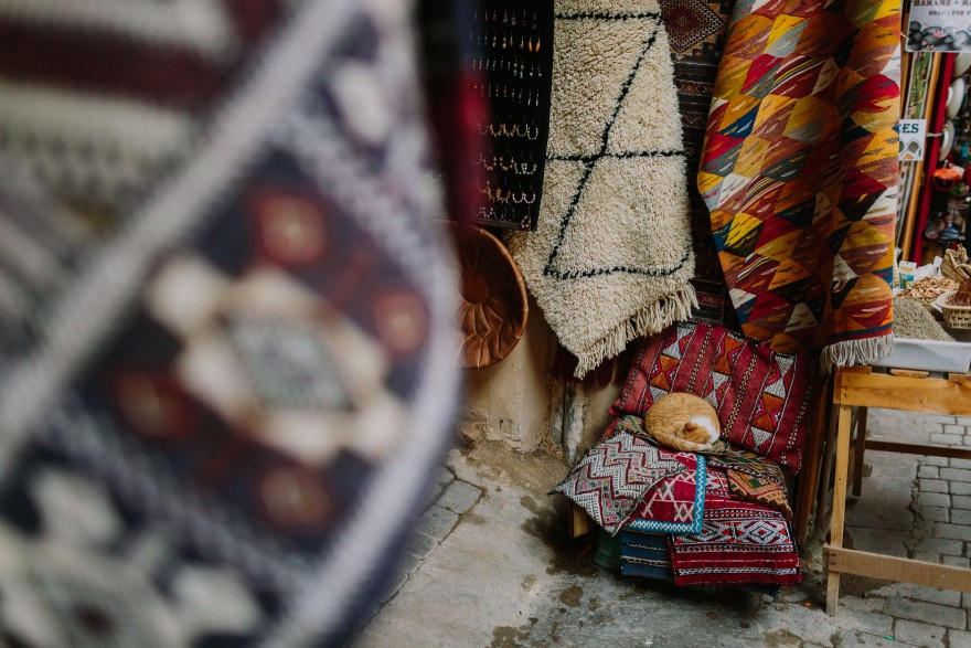 An Adventure from Fez to Volubilis – Photo by Let's Frolic Together