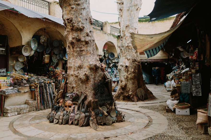 An Adventure from Fez to Volubilis – Photo by Let's Frolic Together