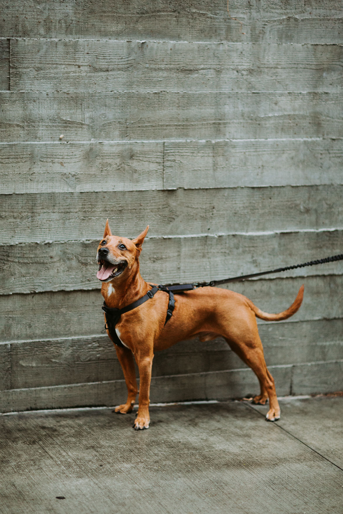A Chic Rainy Day Union at Redbird – Photo by Let's Frolic Together