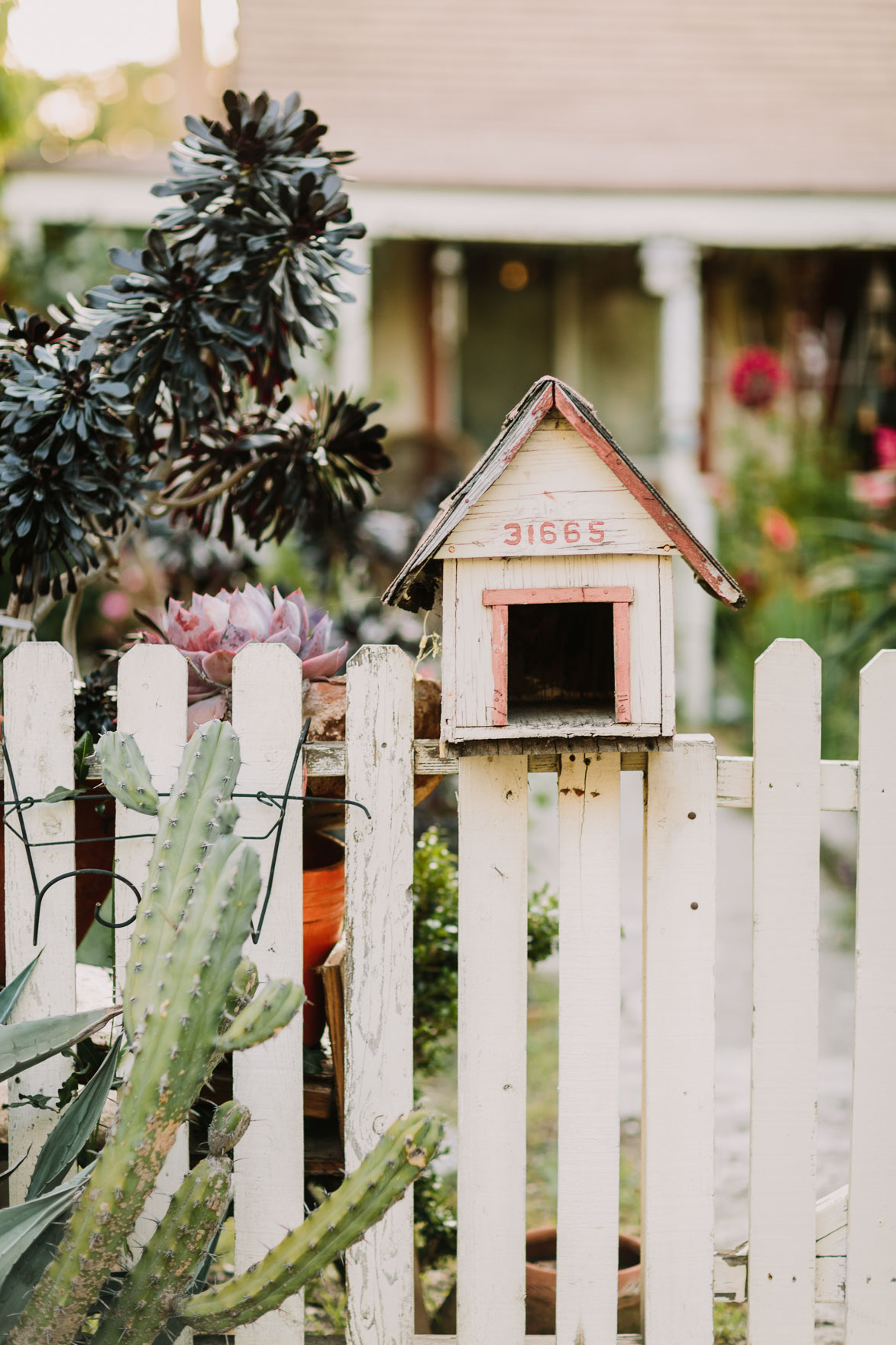 A Cuddly Cactus Engagement – Photo by Let's Frolic Together