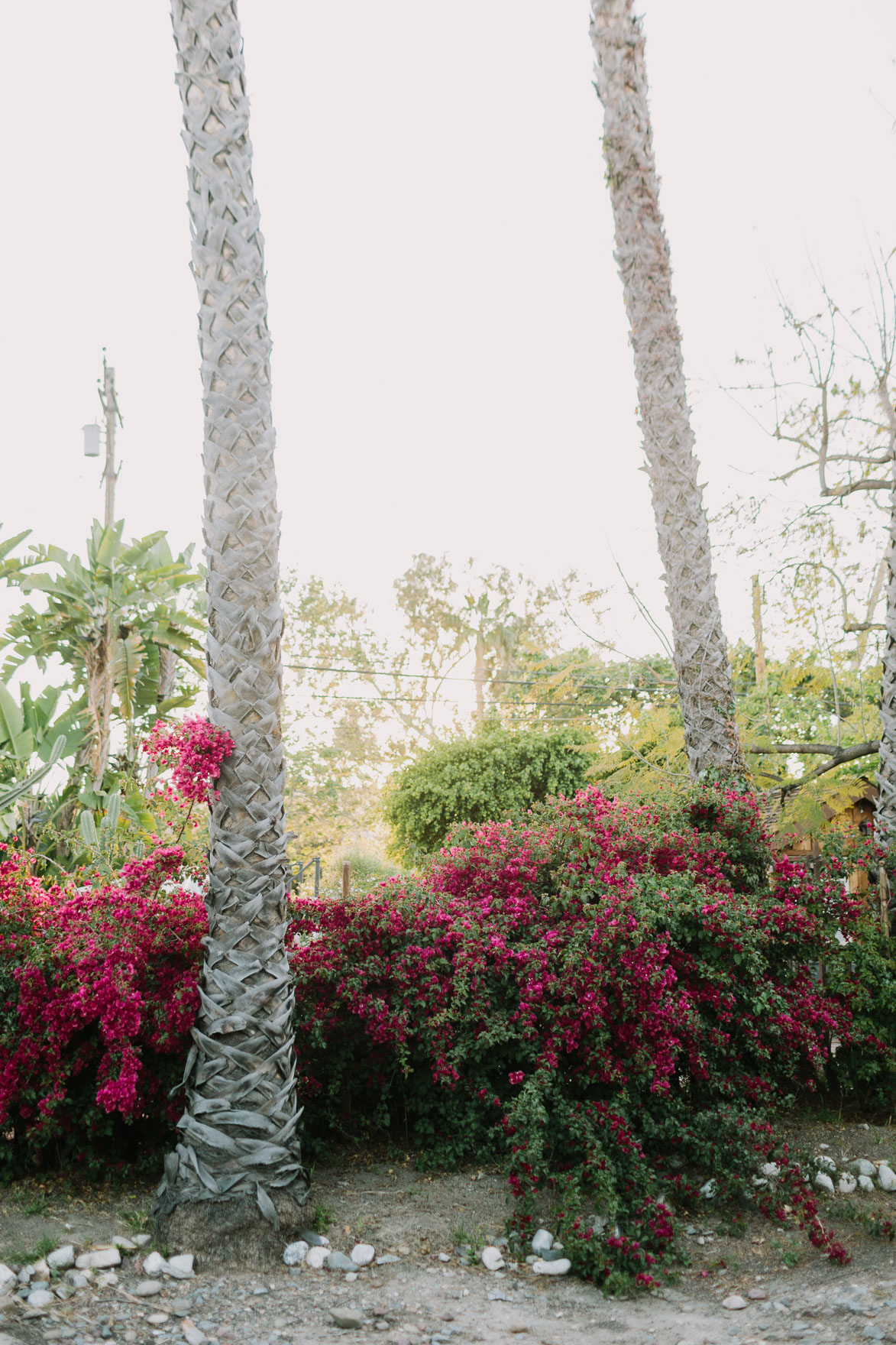A Cuddly Cactus Engagement – Photo by Let's Frolic Together